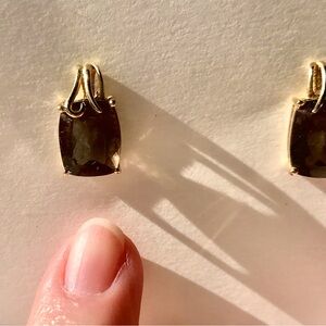 Elegant Gold and Brown Earrings